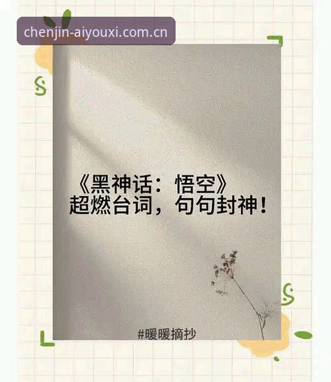 为什么你眼中的黑马神话，其实早有预兆？